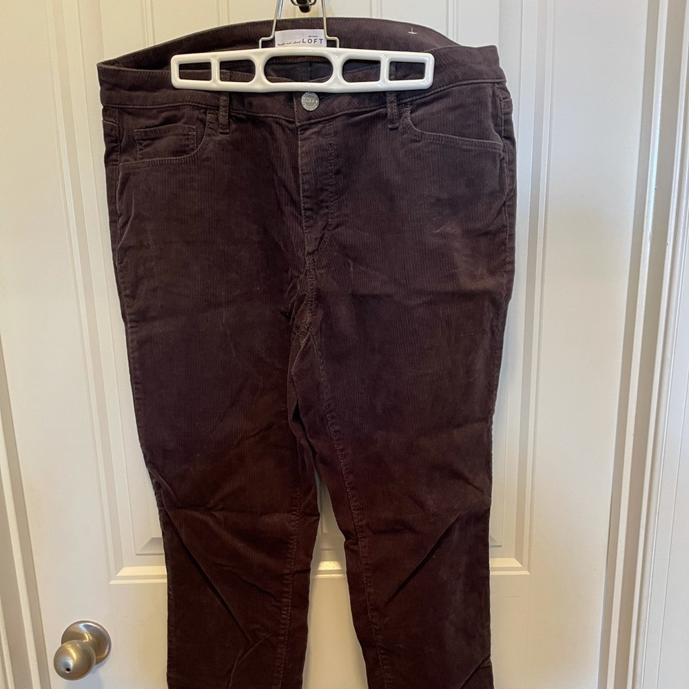 Loft Pants